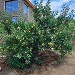 Quinta Do Casal Bystol, Casa 1 Сasa de vacaciones Casal de Loivos