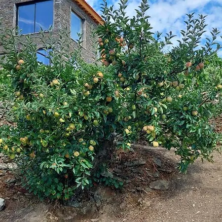 Quinta Do Casal Bystol, Casa 1 Hébergement de vacances Casal de Loivos
