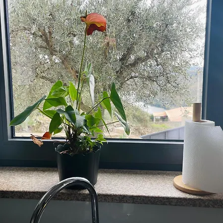 Quinta Do Casal Bystol, Casa 1