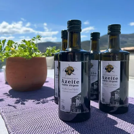 Quinta Do Casal Bystol, Casa 1 Dom wakacyjny Casal de Loivos