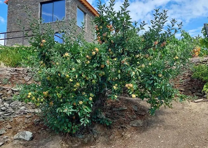 Quinta Do Casal Bystol, Casa 1 Ferienhaus Casal de Loivos