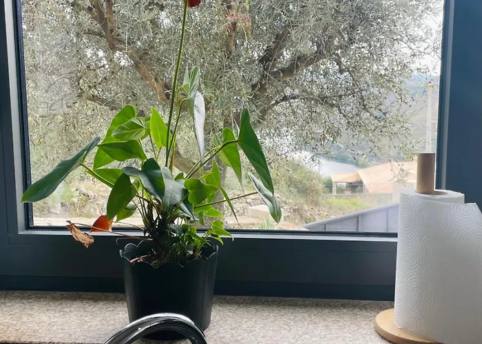 Quinta Do Casal Bystol, Casa 1