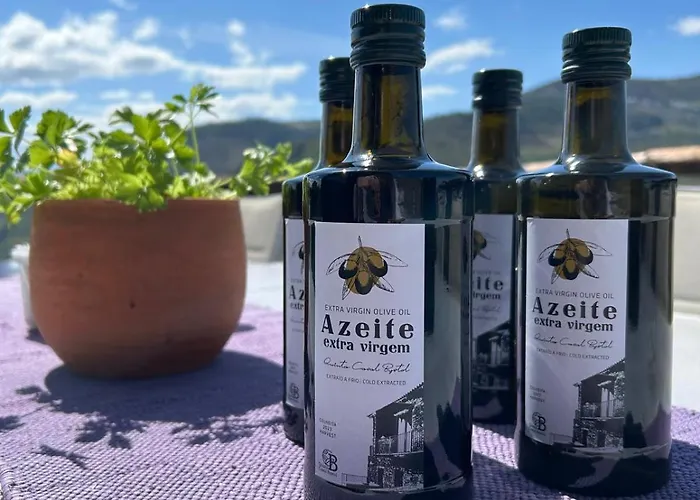 Quinta Do Casal Bystol, Casa 1 Ferienhaus Casal de Loivos